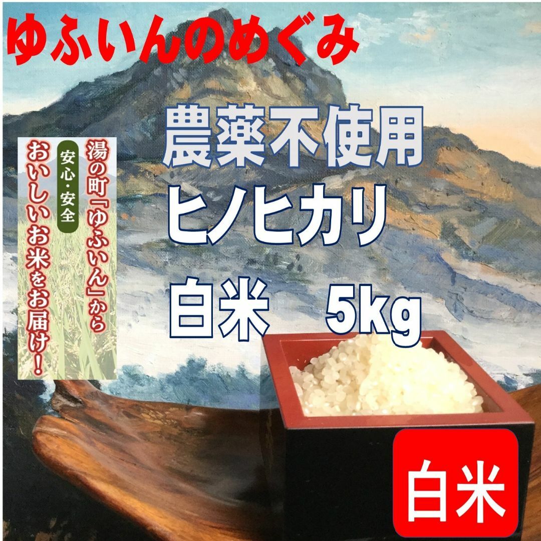 2023年産「ゆふいんのめぐみ」ヒノヒカリ分白米5kg 食品/飲料/酒の食品(米/穀物)の商品写真