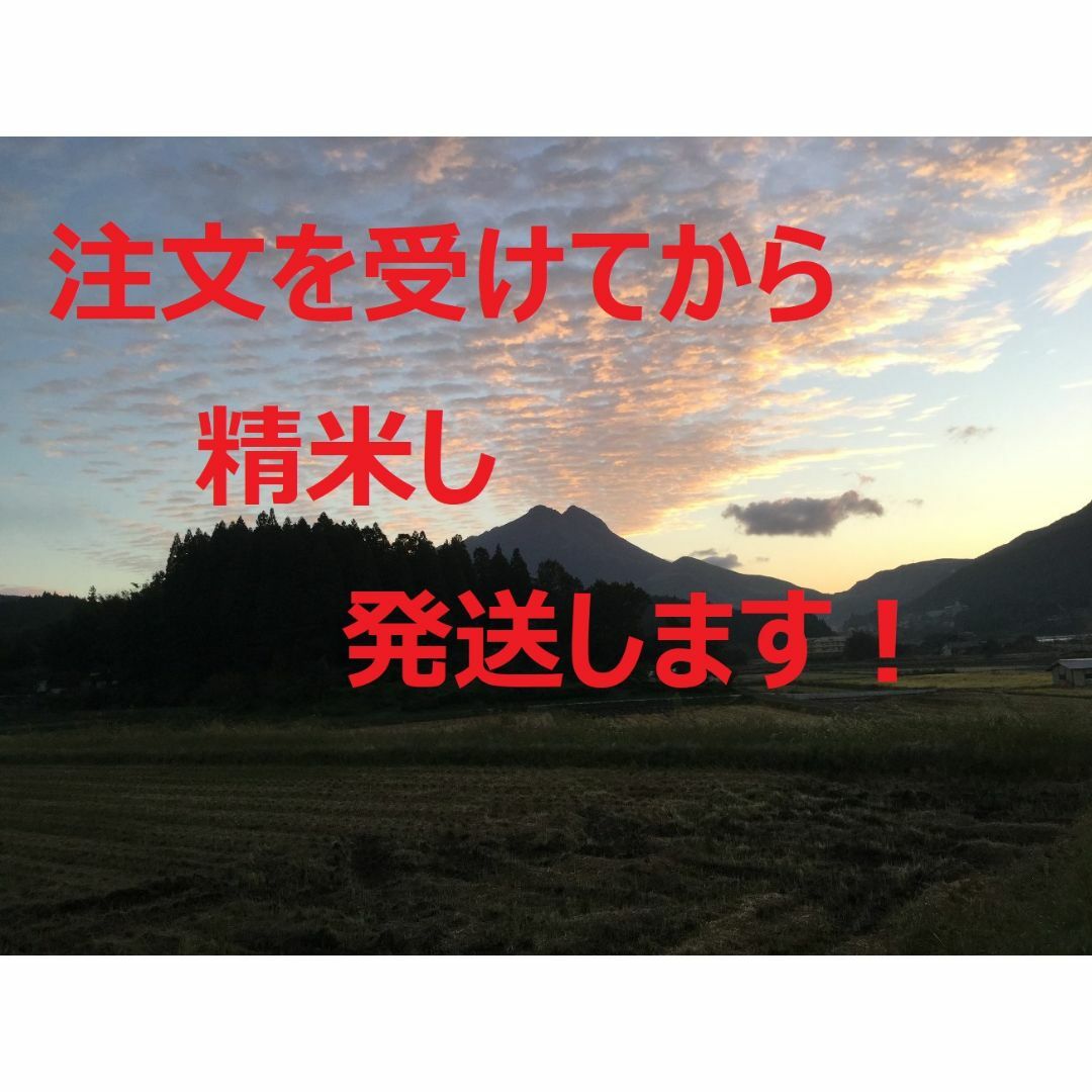 2023年産「ゆふいんのめぐみ」ヒノヒカリ分白米5kg 食品/飲料/酒の食品(米/穀物)の商品写真