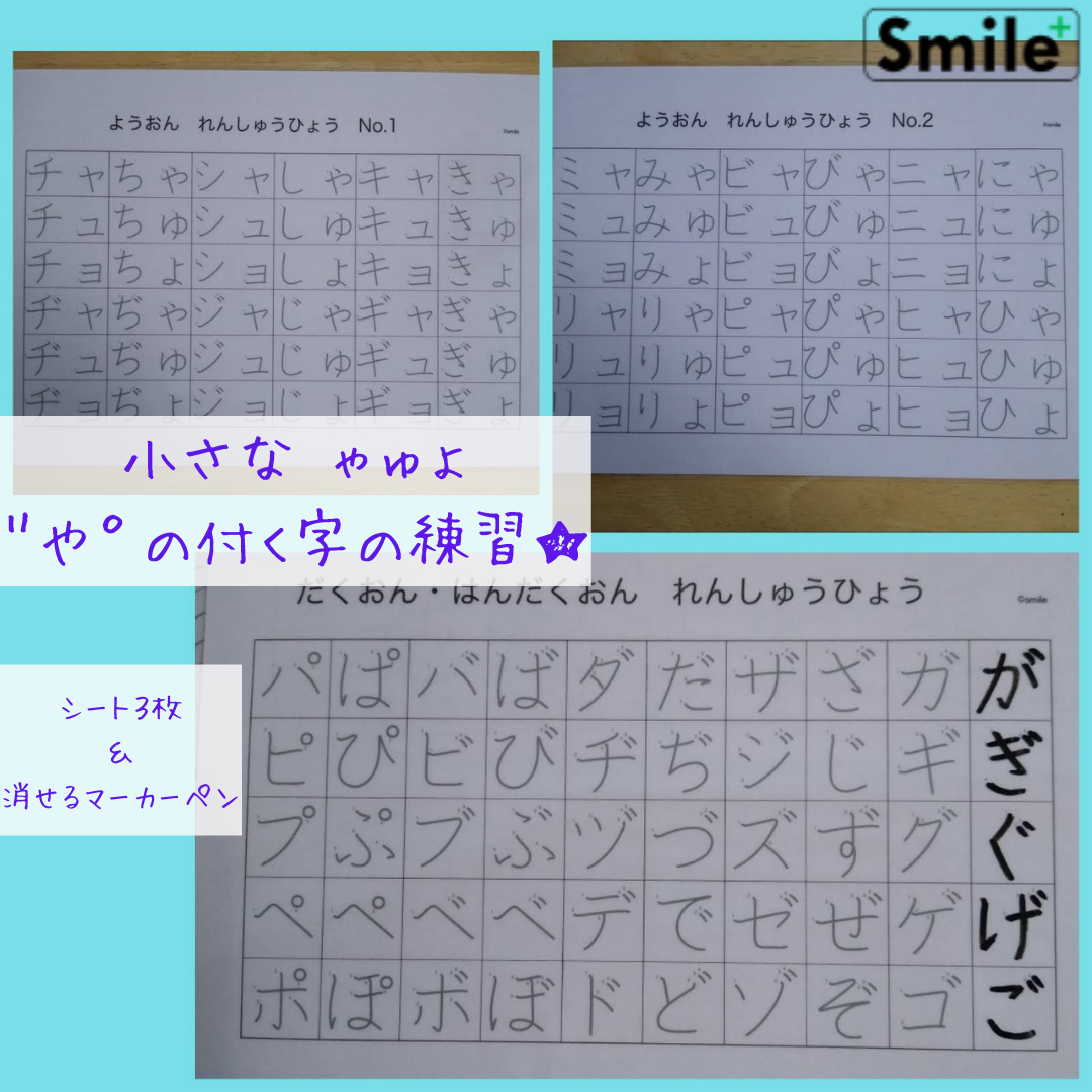 ひらがな表＋カタカナ表＋濁音拗音表＋色、野菜、果物、干支、車　なぞり書きシート エンタメ/ホビーの本(語学/参考書)の商品写真