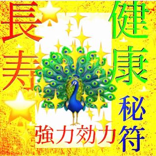 護符◉長寿､健康の秘符[無病息災､健康､回復､長生き､開運､霊符､お守り､占い](その他)