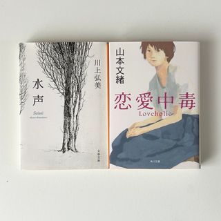 文庫本　まとめ売り 2冊セット(文学/小説)