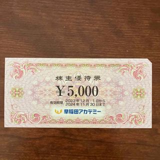 早稲田アカデミー株主優待券　5000円(その他)