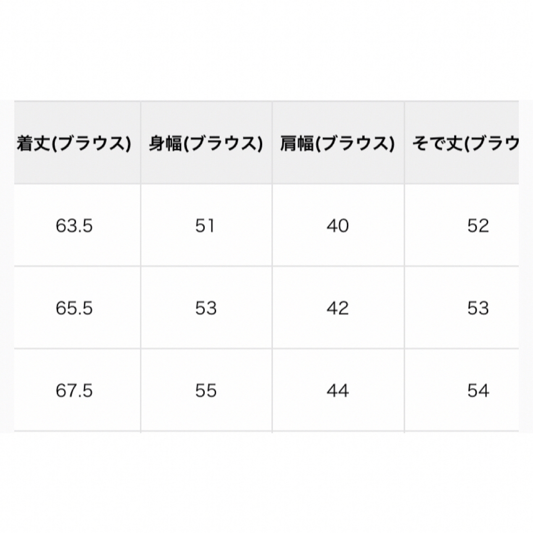 a.v.v(アーヴェヴェ)のavv ニット＆ブラウスセット　 レディースのトップス(シャツ/ブラウス(長袖/七分))の商品写真