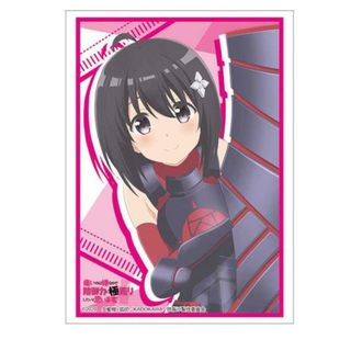 ブシロード(BUSHIROAD)の【即納/新品】 スリーブ ハイグレード 痛いのは嫌なので防御力に極振りしたいと思います。 Vol.2698 ティザービジュアルver 60枚(カードサプライ/アクセサリ)