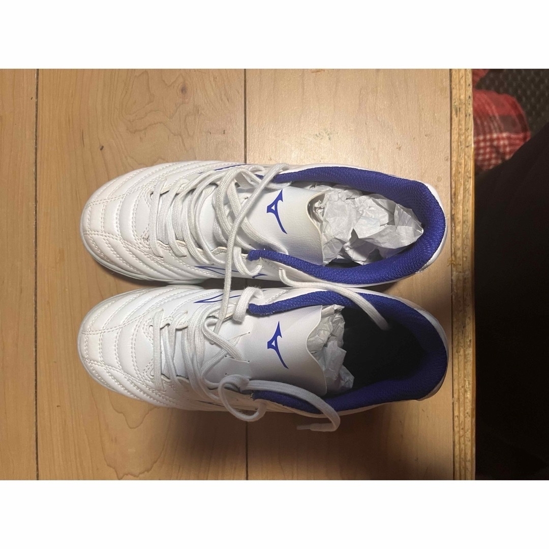 MIZUNO(ミズノ)のミズノトレーニングシューズ22.5㎝白 スポーツ/アウトドアのサッカー/フットサル(シューズ)の商品写真