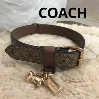 コーチ(COACH)の★美品★COACH　コーチ　シグネチャー　中型犬　首輪　犬用　ペット(犬)