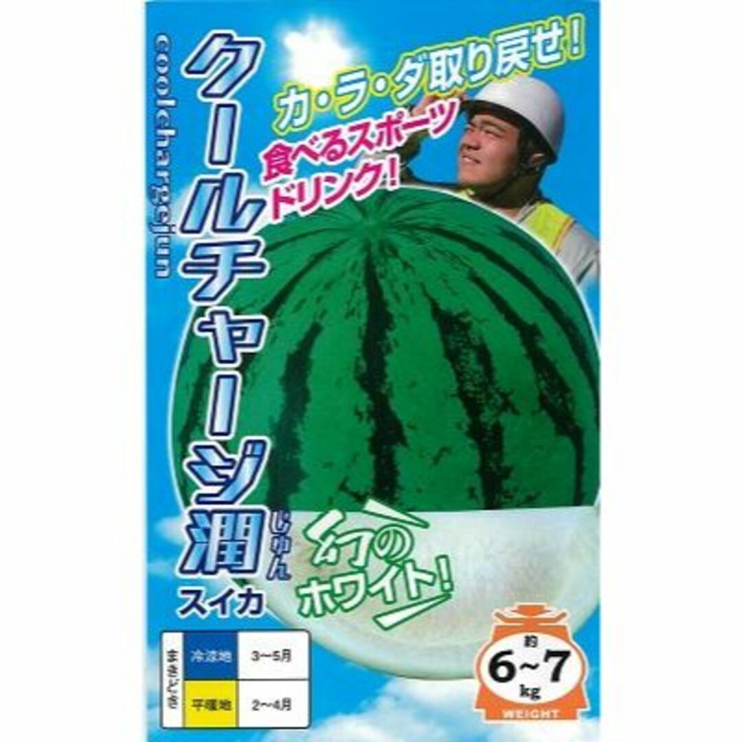 ＜野菜の種＞５粒　クールチャージ潤　幻の白いスイカ　西瓜の種 ハンドメイドのフラワー/ガーデン(プランター)の商品写真