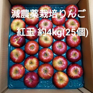 減農薬栽培りんご　紅玉約4kg (25個)(フルーツ)