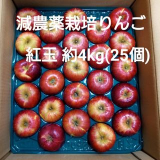 減農薬栽培りんご　紅玉約4kg (25個)(フルーツ)