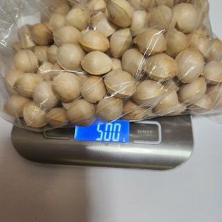 銀杏　500g　おまけ(その他)