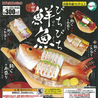 ぴちぴち 鮮魚 全4種セット(その他)