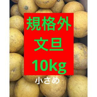 文旦　S/M   約10kg(フルーツ)