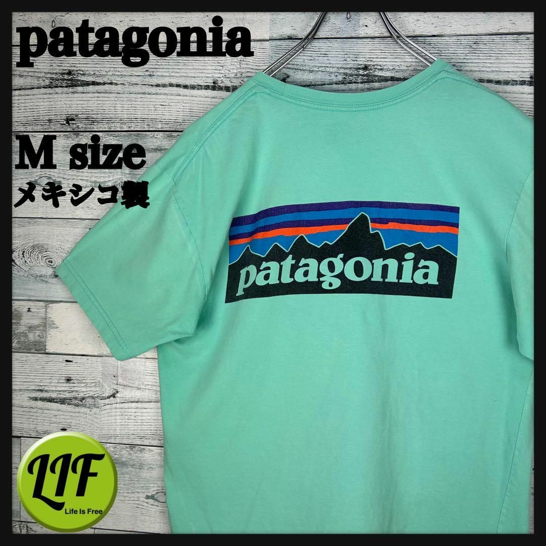 パタゴニア メキシコ製 ロゴプリント 半袖 Tシャツ グリーン M | フリマアプリ ラクマ