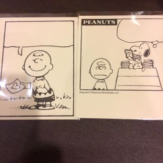 ピーナッツ(PEANUTS)のスヌーピー ミュージアム カード(その他)