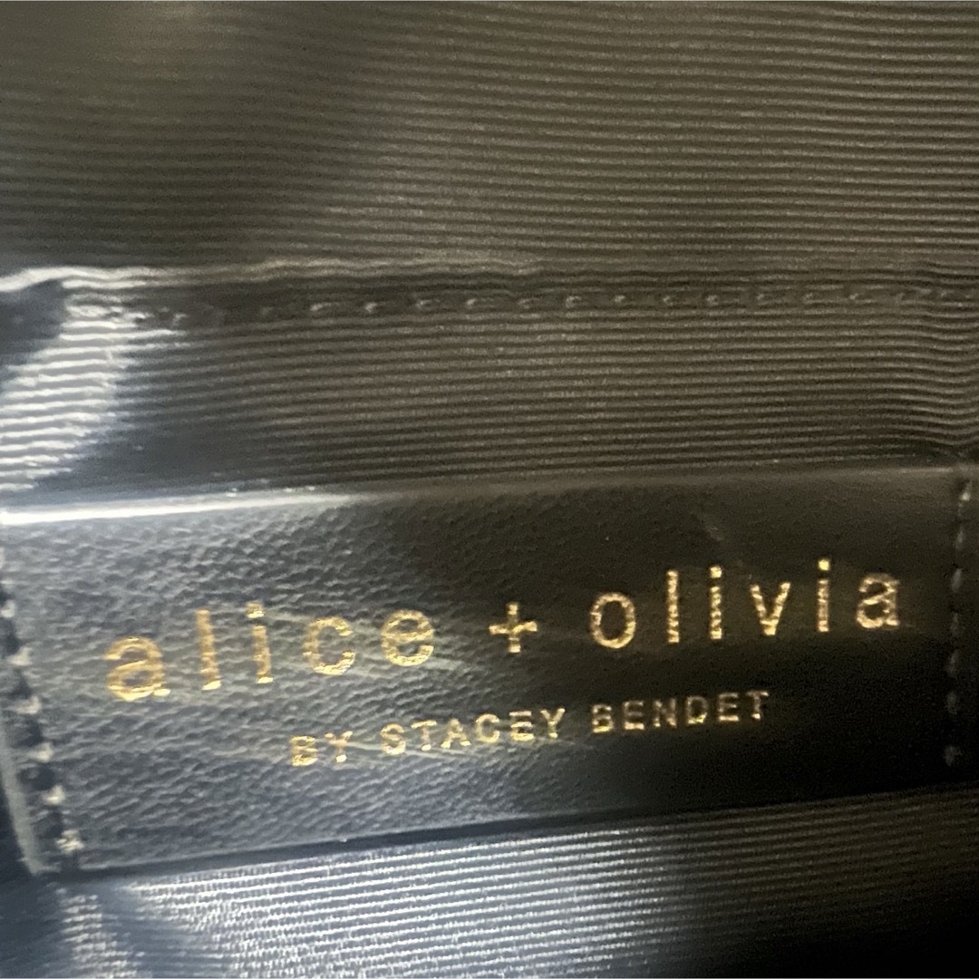 Alice+Olivia(アリスアンドオリビア)のAlice +Olivia アリス アンド オリビア コスメポーチ　マルチカラー レディースのファッション小物(ポーチ)の商品写真