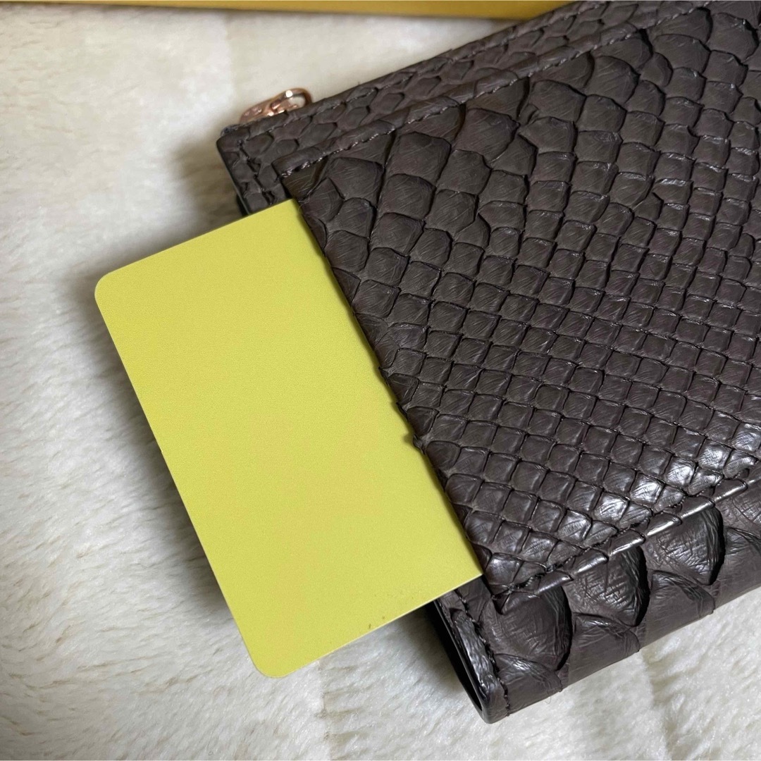 ITTI(イッチ)のITTI 新品未使用 コンパクト財布 パイソン 蛇革 メンズのファッション小物(折り財布)の商品写真