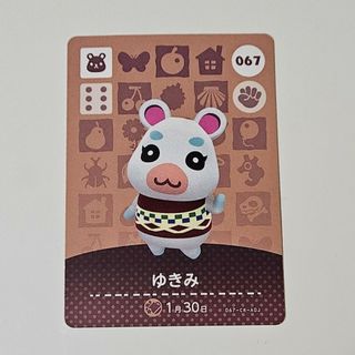 ニンテンドウ(任天堂)のゆきみ amiibo カード(カード)