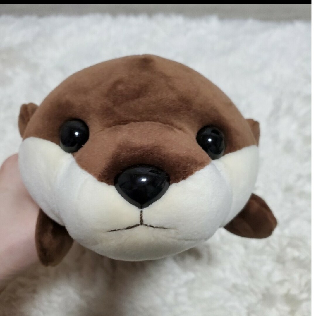カワウソ ぬいぐるみ 人形 水族館 お土産 かわうその通販 by カワウソ ぬいぐるみ 人形 水族館 お土産 かわうその通販 by