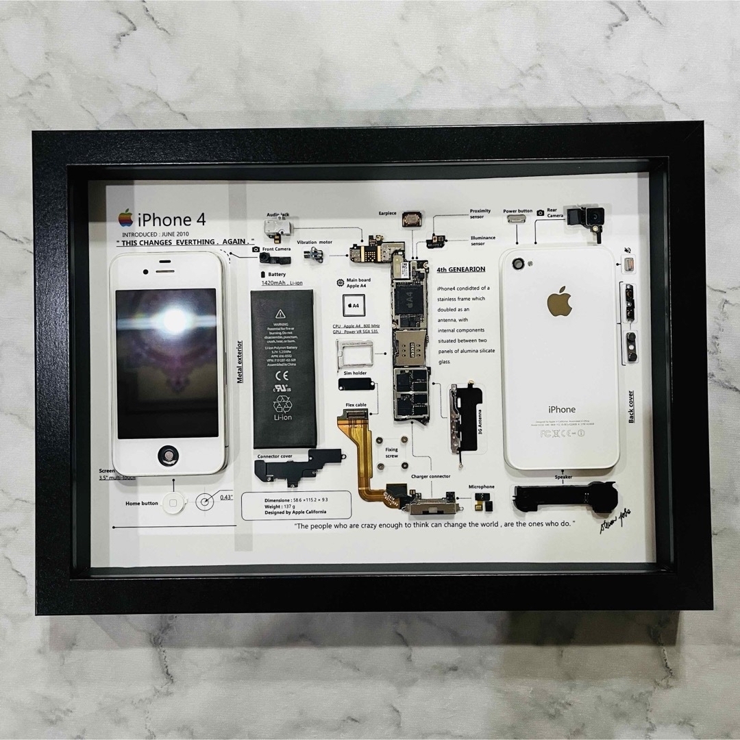 iPhone 4 White 標本アート ボックスフレーム仕様 (A4サイズ)