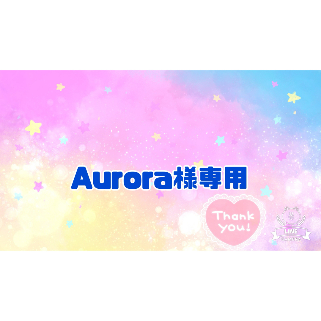 Aurora様専用⭐︎手袋シアター ハンドメイドのおもちゃ(その他)の商品写真