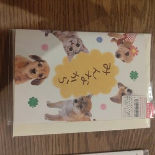 レターセット　お誕生日カード　まとめ売り（4点）(カード/レター/ラッピング)