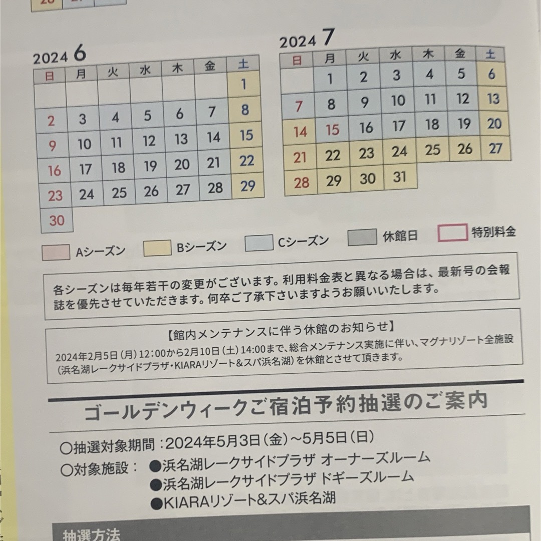 浜名湖レークサイドプラザホテル　宿泊割引券　ペット同室可能 チケットの優待券/割引券(宿泊券)の商品写真