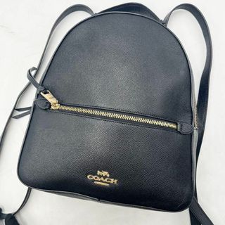 COACH - コーチ COACH リュック バックパック サフィアーノレザー 革 F76624