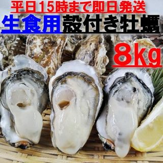 15時まで即日発送可能 生食用 殻付き 牡蠣 ８ｋｇ（約９０粒）牡蠣 殻付(魚介)