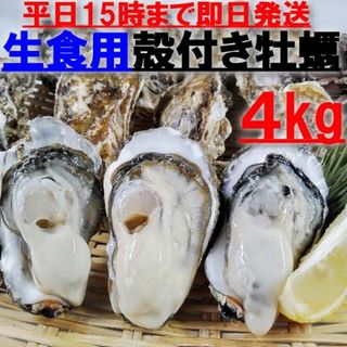 15時まで即日発送可能  生食用 殻付き 牡蠣 ４ｋｇ（28~70粒）牡蠣 殻付(魚介)