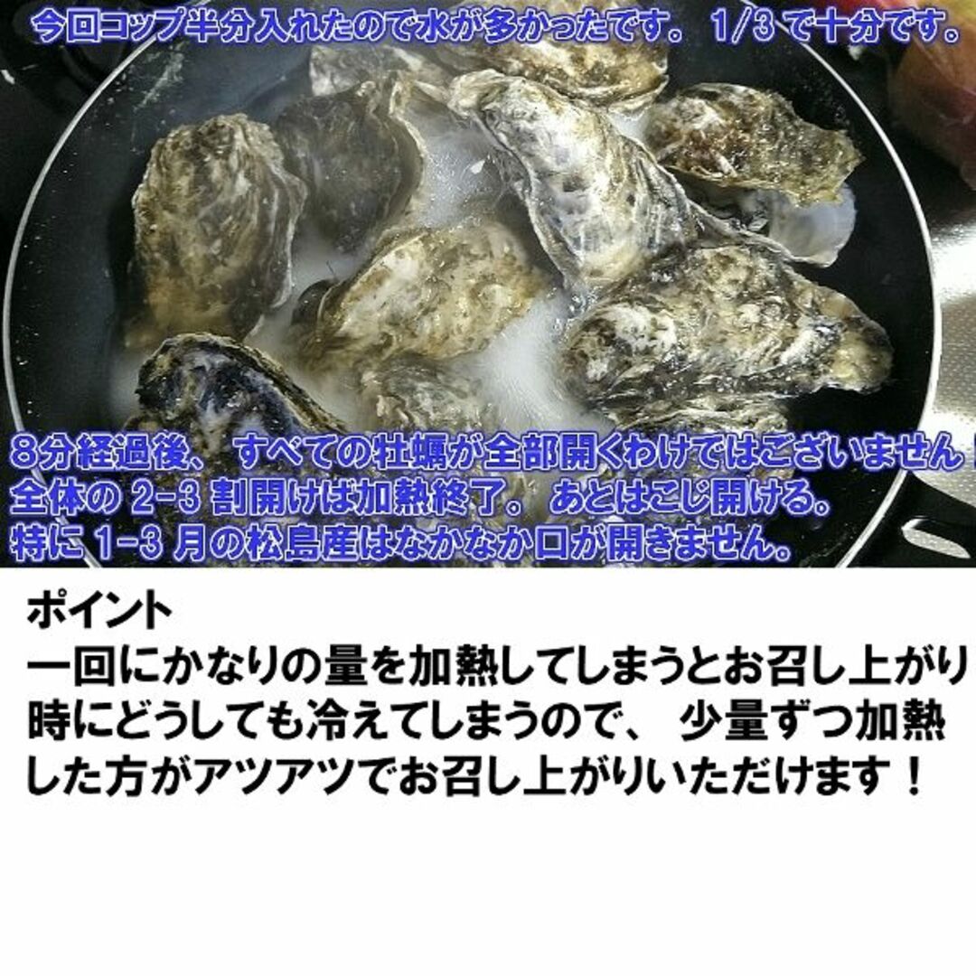 15時まで即日発送可能  生食用 殻付き 牡蠣 ２ｋｇ（14~35粒）牡蠣 殻付 食品/飲料/酒の食品(魚介)の商品写真