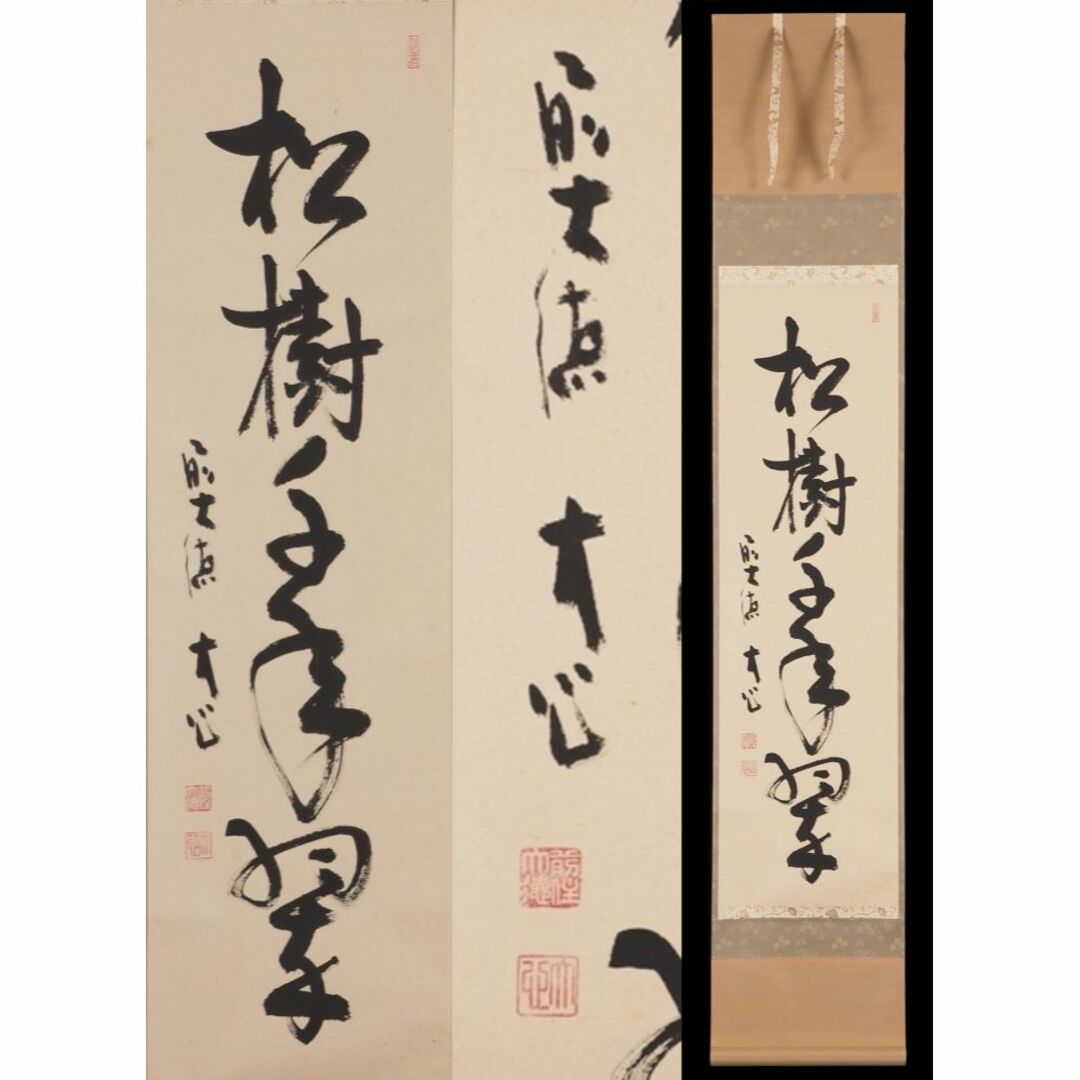 【真作】掛軸 大徳寺 小室大心『松樹千年翠』紙本 共箱付 掛け軸 x03874 エンタメ/ホビーの美術品/アンティーク(書)の商品写真