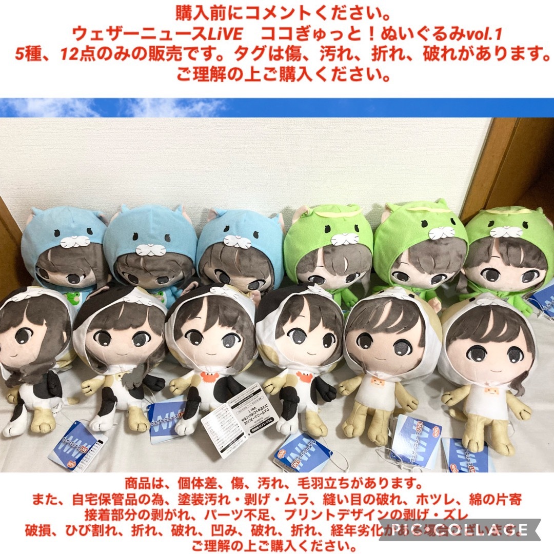 ウェザーニュース ココぎゅっと！ぬいぐるみ vol.1&2 11種、23点の通販