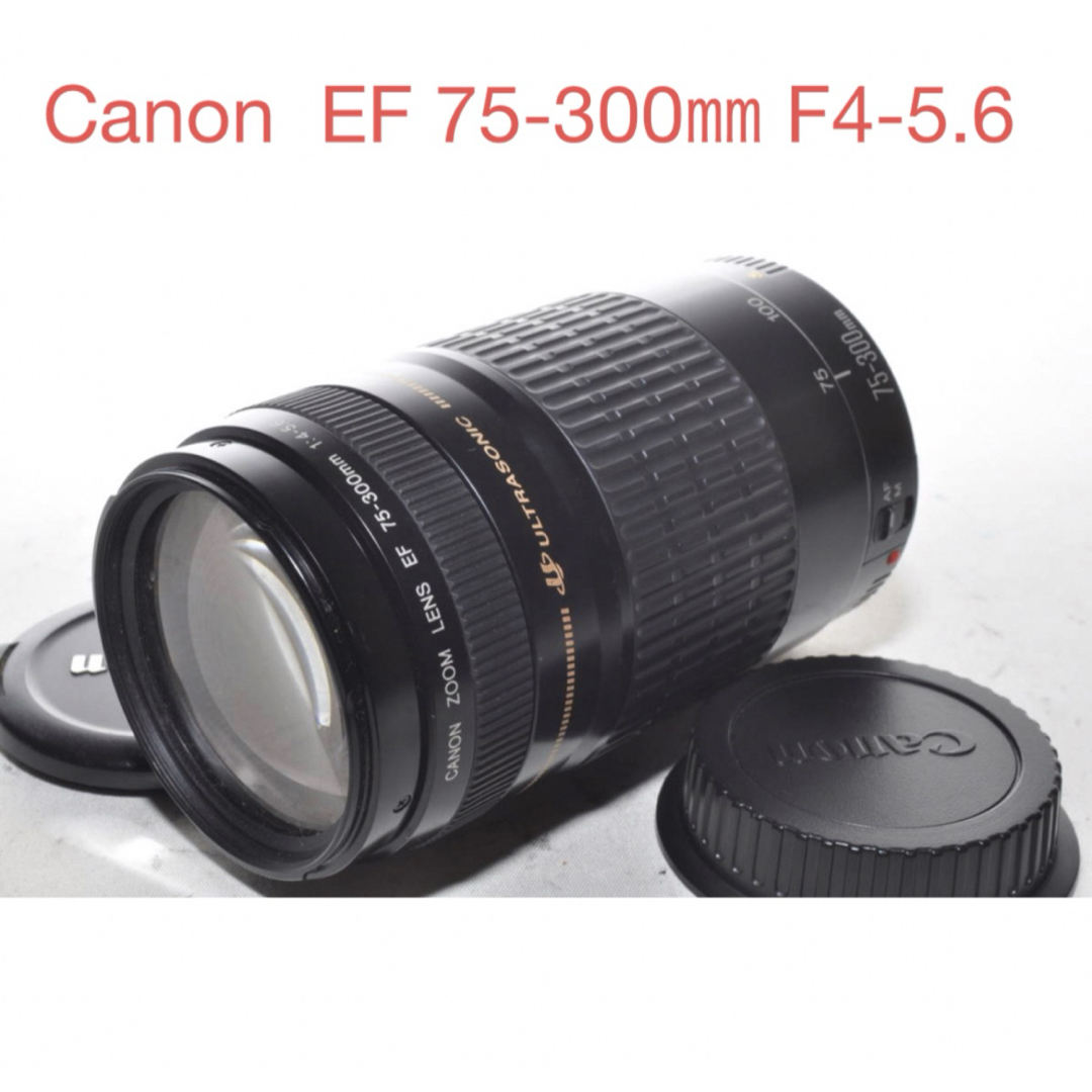 Canon(キヤノン)のスポーツ/望遠レンズ/イベント/キヤノン☆Canon EF75-300㎜☆ スマホ/家電/カメラのカメラ(レンズ(ズーム))の商品写真