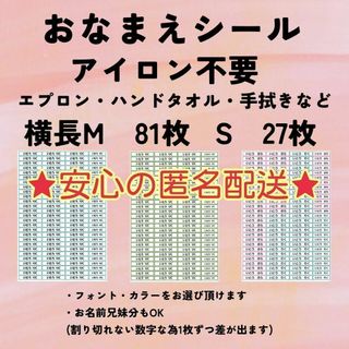 のりもの】カット済み ノンアイロン コットン お名前 シール star.Aの