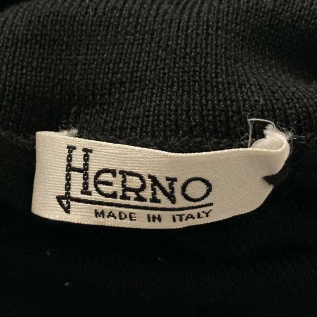 HERNO(ヘルノ)のHERNO(ヘルノ) 長袖セーター サイズ42 M レディース - 黒 タートルネック レディースのトップス(ニット/セーター)の商品写真