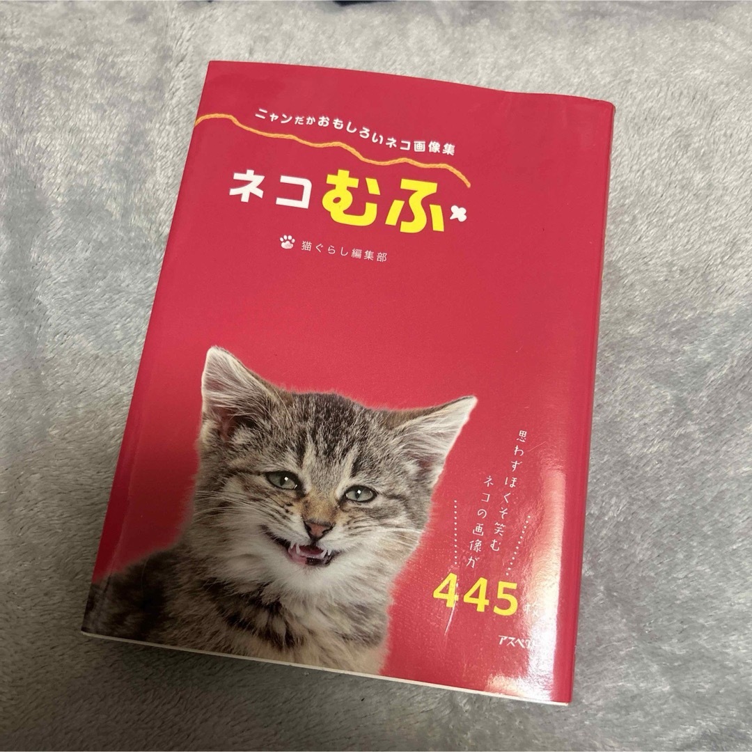 ネコむふ エンタメ/ホビーの本(その他)の商品写真