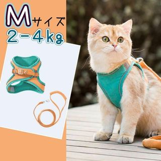 M オレンジ　グリーン　リード　ハーネス　猫　小動物　ペット　散歩(猫)