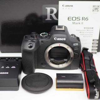 キヤノン(Canon)の■1000ショット以下■ CANON EOS R6 Mark II ボディ(ミラーレス一眼)