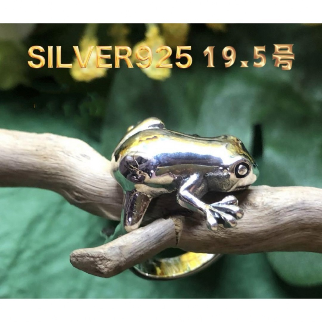 蛙幸運　スターリングシルバー925リングSILVERアクセサリー個性的19.5号 メンズのアクセサリー(リング(指輪))の商品写真