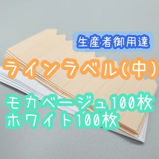 ラインラベル 中 200枚 園芸ラベル カラーラベル 多肉植物 エケベリア(その他)