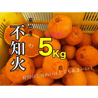 和歌山産有田の不知火S〜2L混合品5キロ(フルーツ)