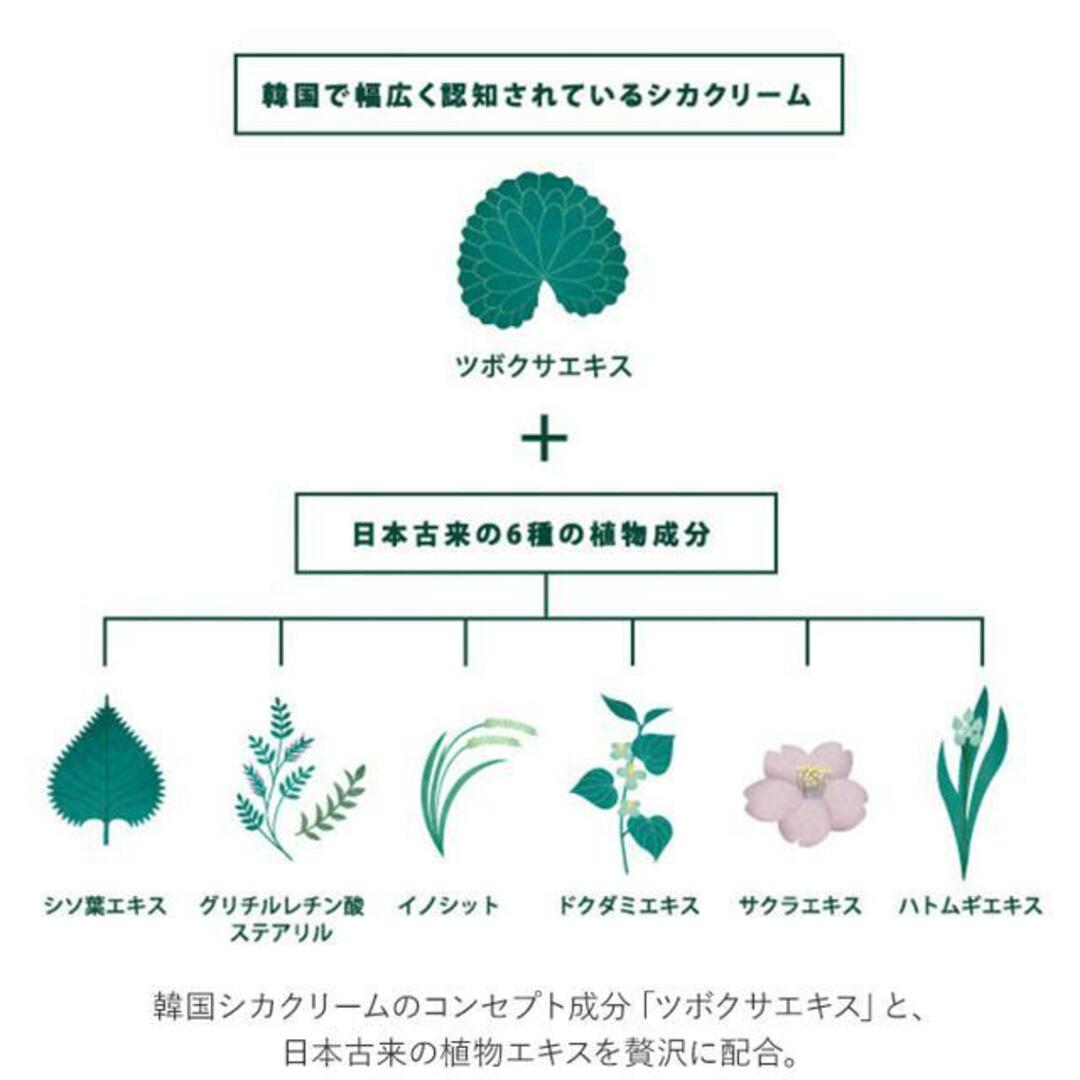 CICA METHOD CREAM 100ｇ コスメ/美容のスキンケア/基礎化粧品(フェイスクリーム)の商品写真