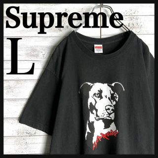 シュプリーム(Supreme)の9080【人気Lサイズ】シュプリーム☆ビッグロゴ希少デザインtシャツ　美品(Tシャツ/カットソー(半袖/袖なし))