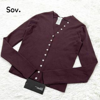 ダブルスタンダードクロージング(DOUBLE STANDARD CLOTHING)の【新品】Sov. Vネック ニット カーディガン ボタン ブラウン サイズ38(カーディガン)