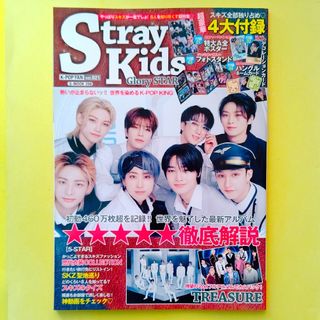 ストレイキッズ(Stray Kids)のＫ－ＰＯＰ　ＦＡＮ　Stray Kids Glory STAR(アイドルグッズ)