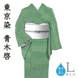 着物だいやす SALE203■小紋■東京染　伝統工芸士青木啓　極型江戸小紋　百八拾撰　身長サイズ：L　ガード加工【正絹】【仕立て上がり着物】(着物)