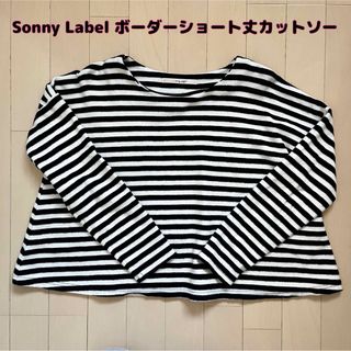 Sonny Labelサニーレーベル☆起毛フランネルボーダーショート丈カットソー