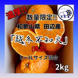 ②和歌山県田辺産、「越冬不知火 」しらぬい デコポン 柑橘 蜜柑 みかん 2kg(フルーツ)