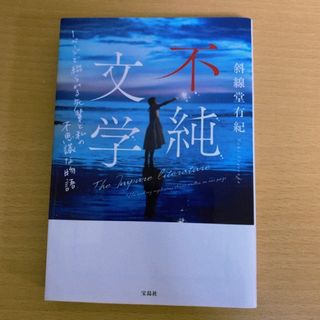 不純文学(その他)