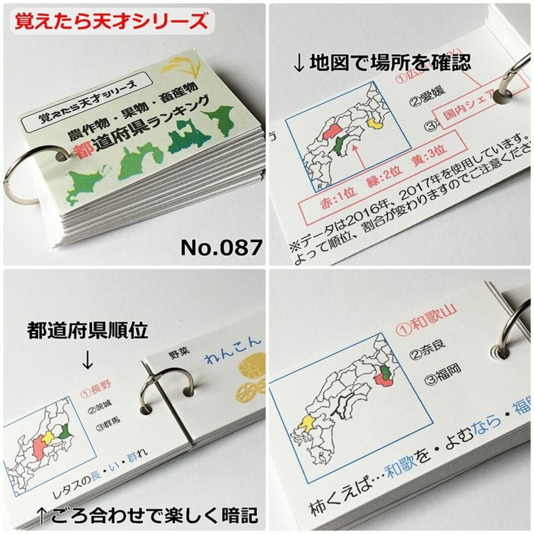 【084】中学受験対策　社会の地理、歴史、公民　暗記カードセット　中学入試 エンタメ/ホビーの本(住まい/暮らし/子育て)の商品写真